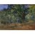 Klod Mone - Hrast - PSKM-19 - ArtZona Klod Mone - Hrast - PSKM-19 - ArtZona